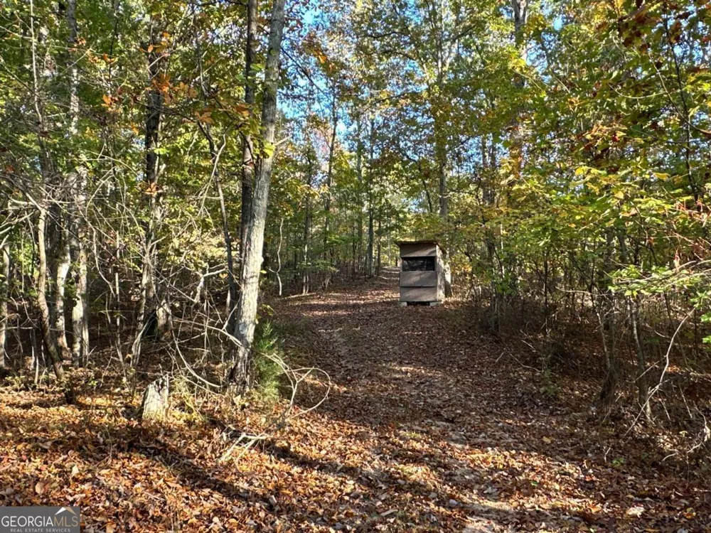 1806 Browning RD Rockmart, GA 30153