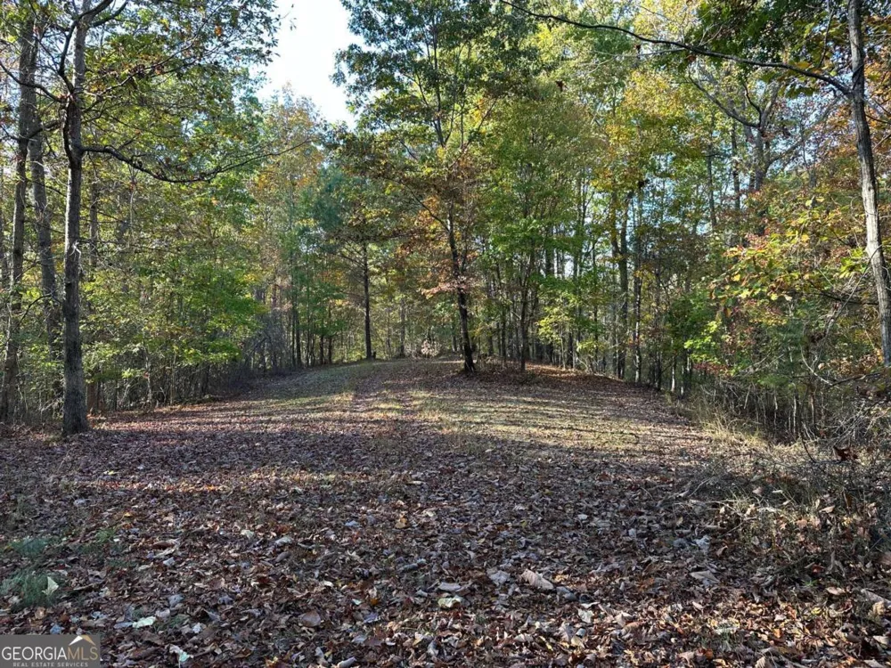 1806 Browning RD Rockmart, GA 30153