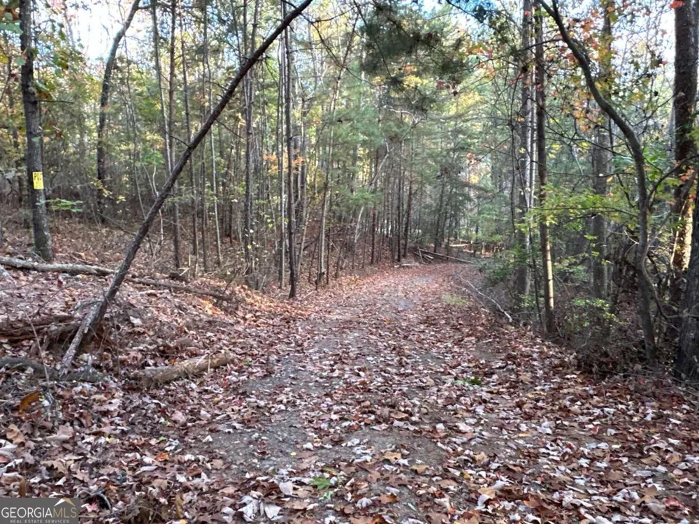 1806 Browning RD Rockmart, GA 30153