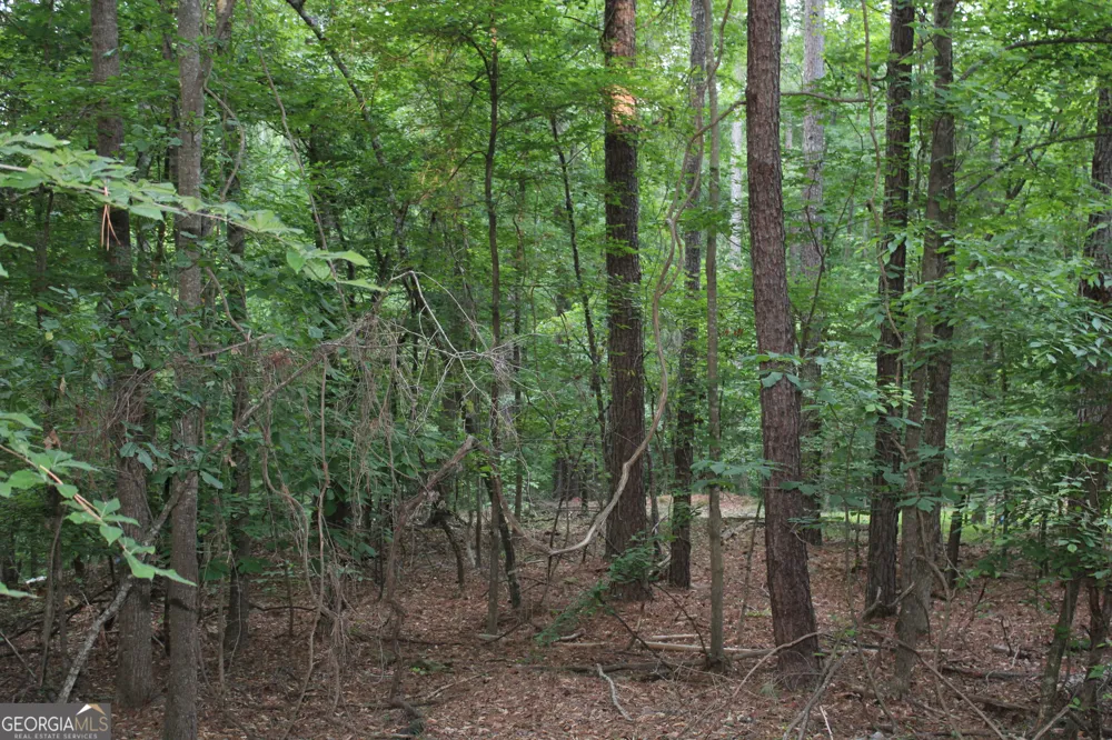 1 Mount Moriah RD Auburn, GA 30011