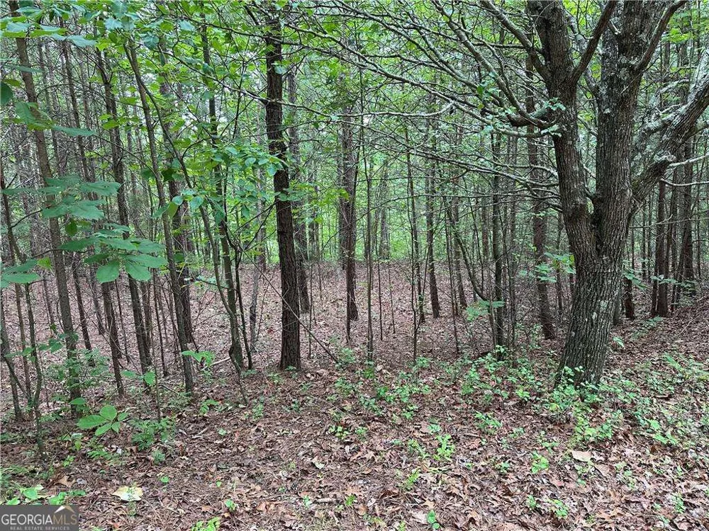585 Galaxy WAY Ranger, GA 30734