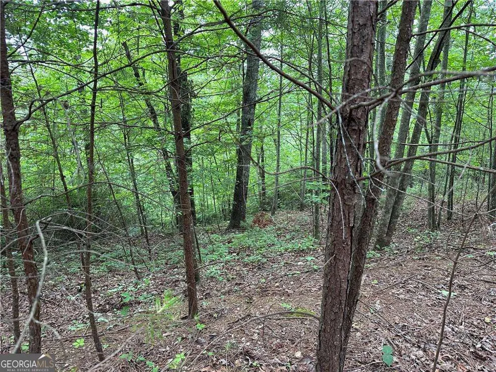 585 Galaxy WAY Ranger, GA 30734