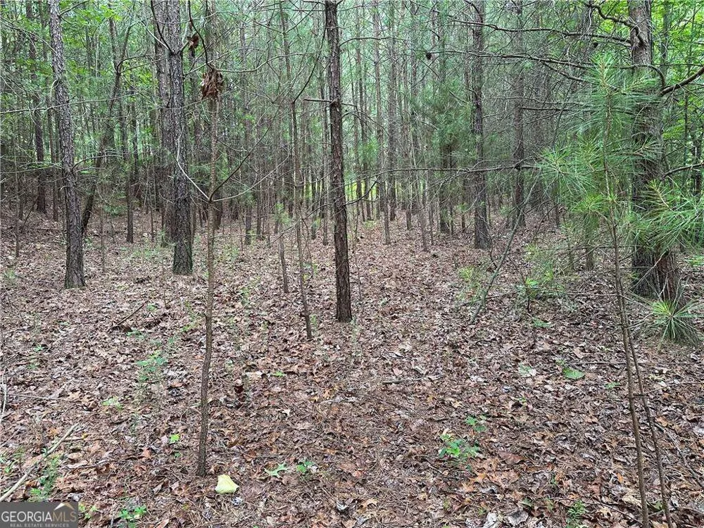 585 Galaxy WAY Ranger, GA 30734