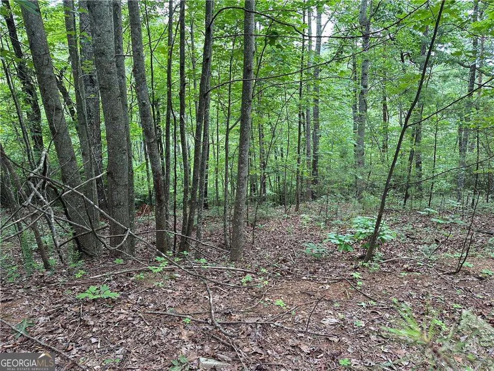 585 Galaxy WAY Ranger, GA 30734