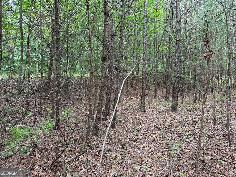 585 Galaxy WAY Ranger, GA 30734