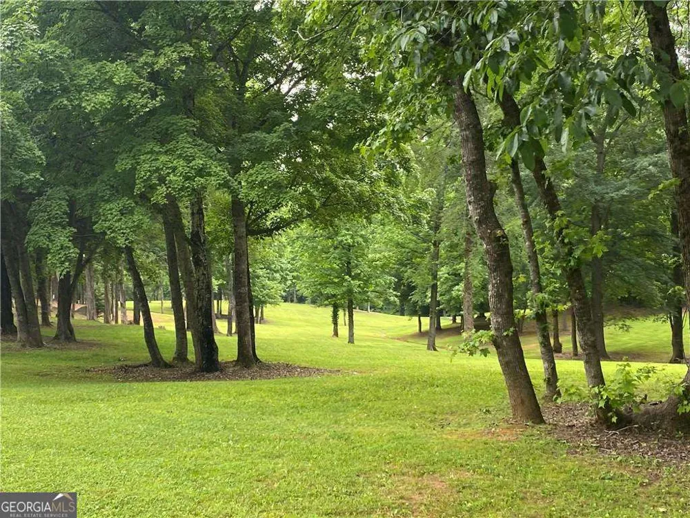 585 Galaxy WAY Ranger, GA 30734