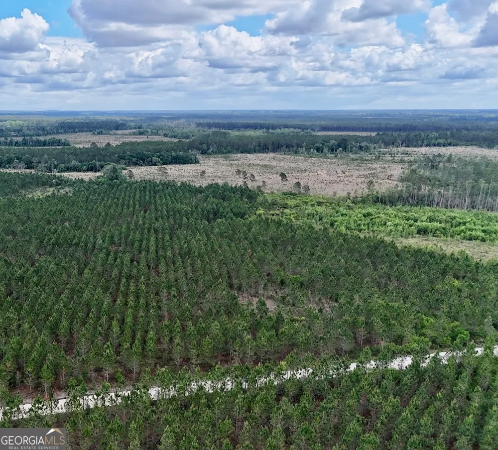 17 AC Owens RD Odum, GA 31555