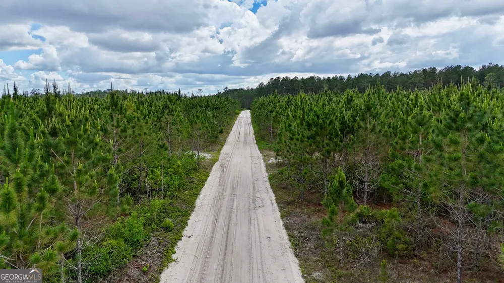 17 AC Owens RD Odum, GA 31555