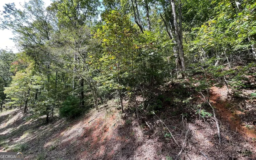 LOT 31 Nelson RDG Hayesville, NC 28904