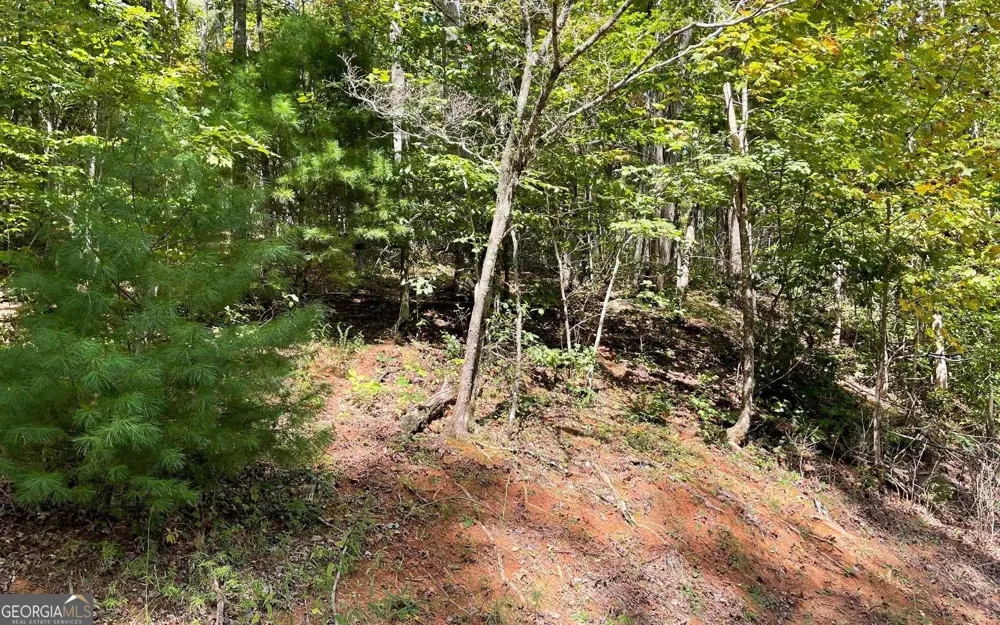 LOT 31 Nelson RDG Hayesville, NC 28904