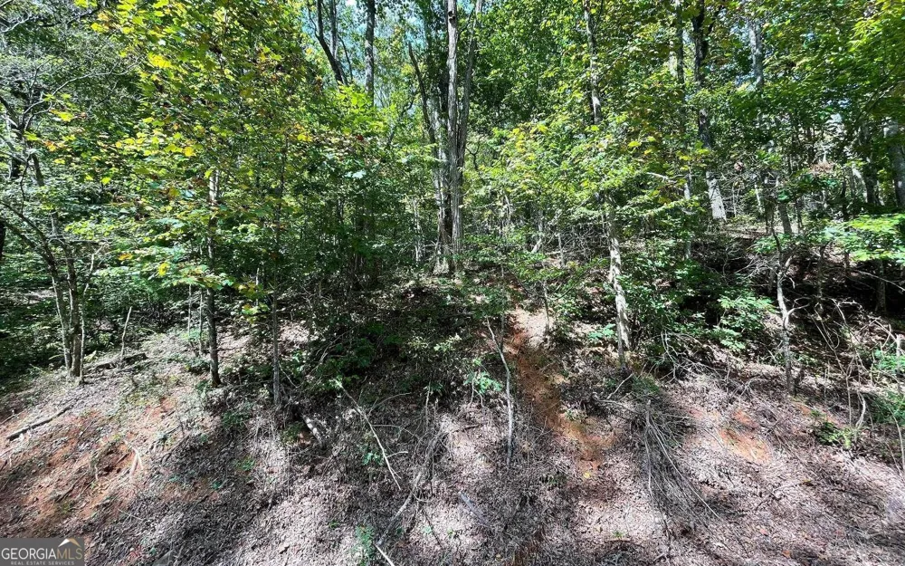 LOT 31 Nelson RDG Hayesville, NC 28904