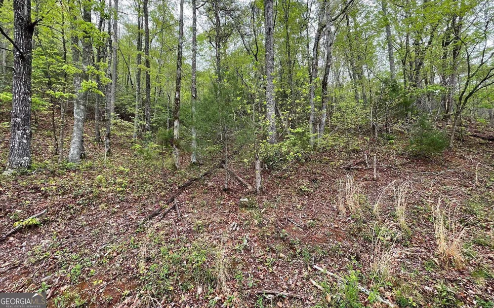 LOT 31 Nelson RDG Hayesville, NC 28904