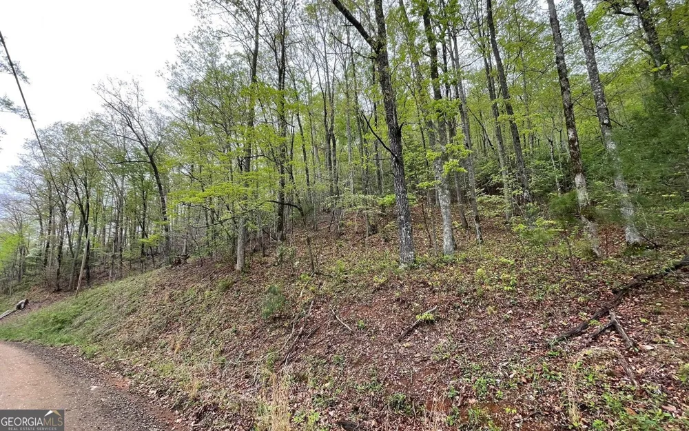 LOT 31 Nelson RDG Hayesville, NC 28904