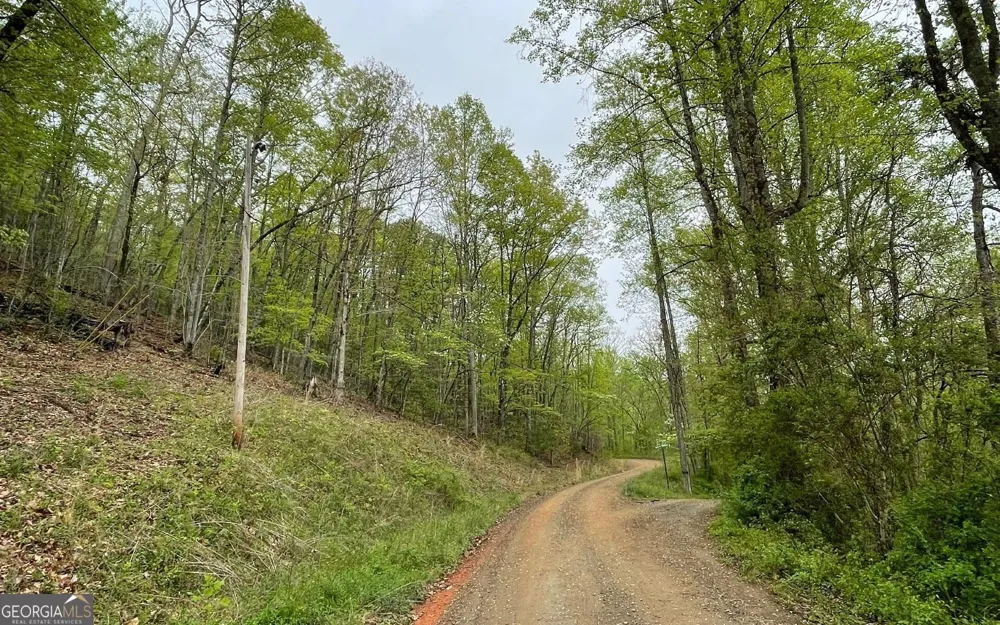 LOT 31 Nelson RDG Hayesville, NC 28904