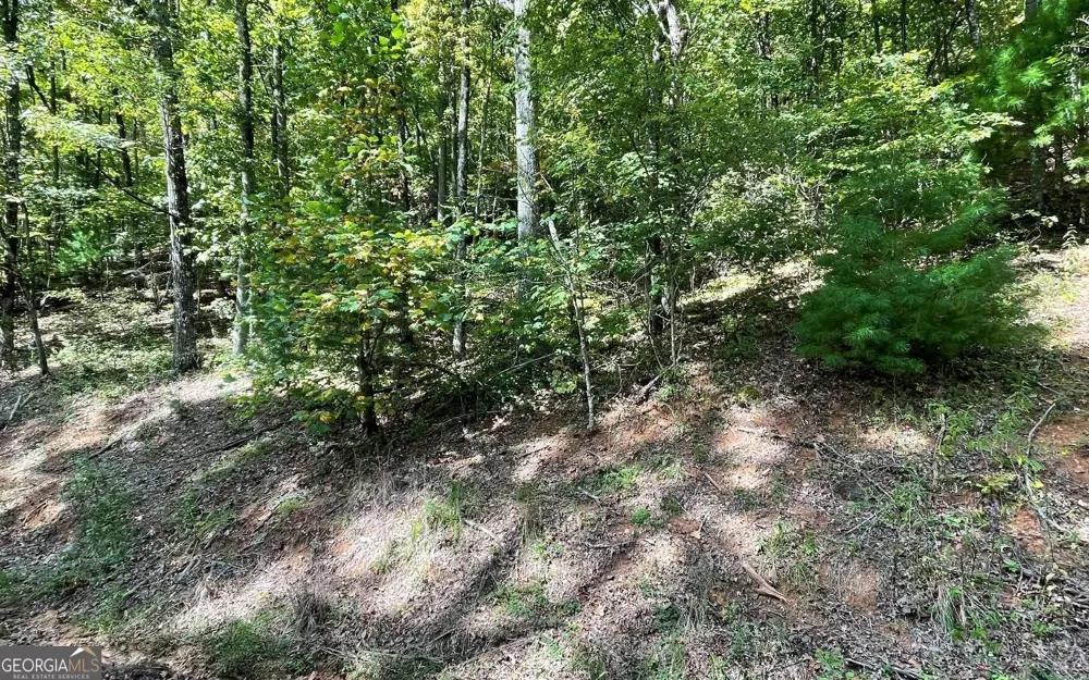 LOT 31 Nelson RDG Hayesville, NC 28904