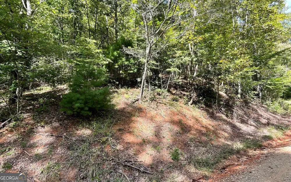 LOT 31 Nelson RDG Hayesville, NC 28904