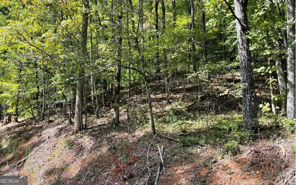 LOT 31 Nelson RDG Hayesville, NC 28904
