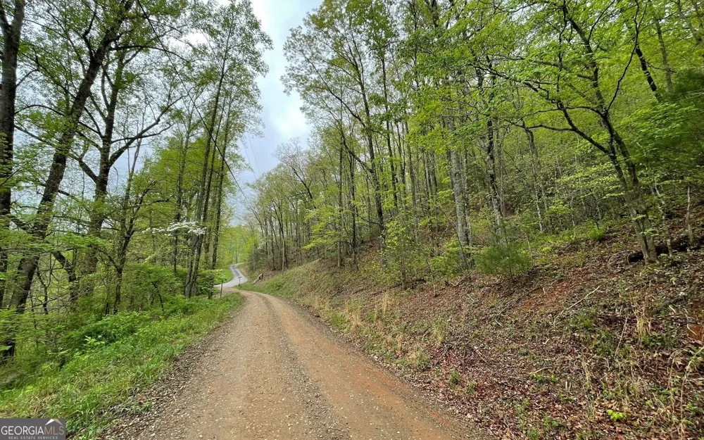 LOT 31 Nelson RDG Hayesville, NC 28904