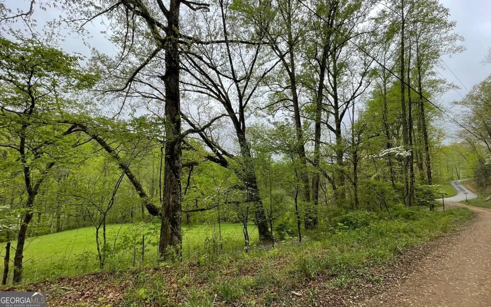 LOT 31 Nelson RDG Hayesville, NC 28904