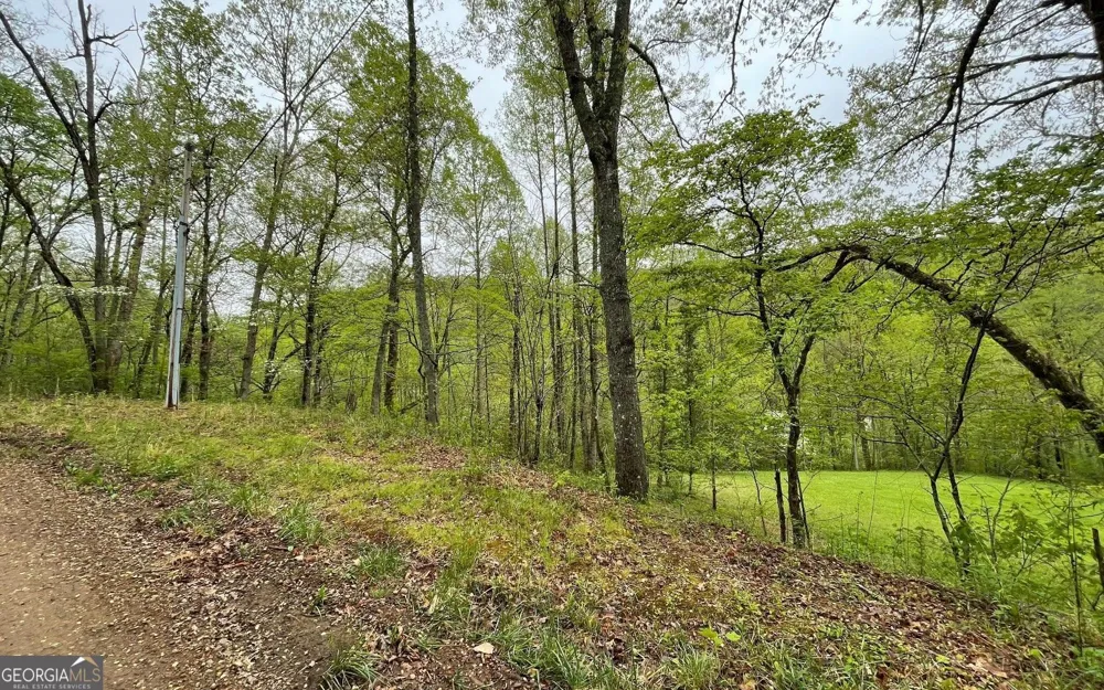 LOT 31 Nelson RDG Hayesville, NC 28904