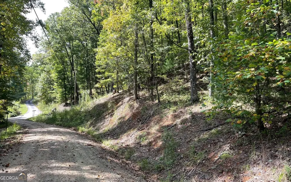 LOT 31 Nelson RDG Hayesville, NC 28904