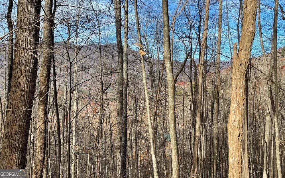LOT 19 Bear TRL Hiawassee, GA 30546