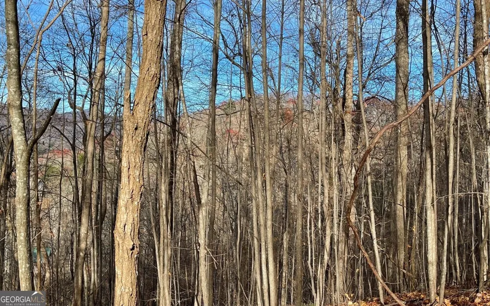 LOT 19 Bear TRL Hiawassee, GA 30546