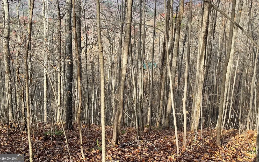 LOT 19 Bear TRL Hiawassee, GA 30546