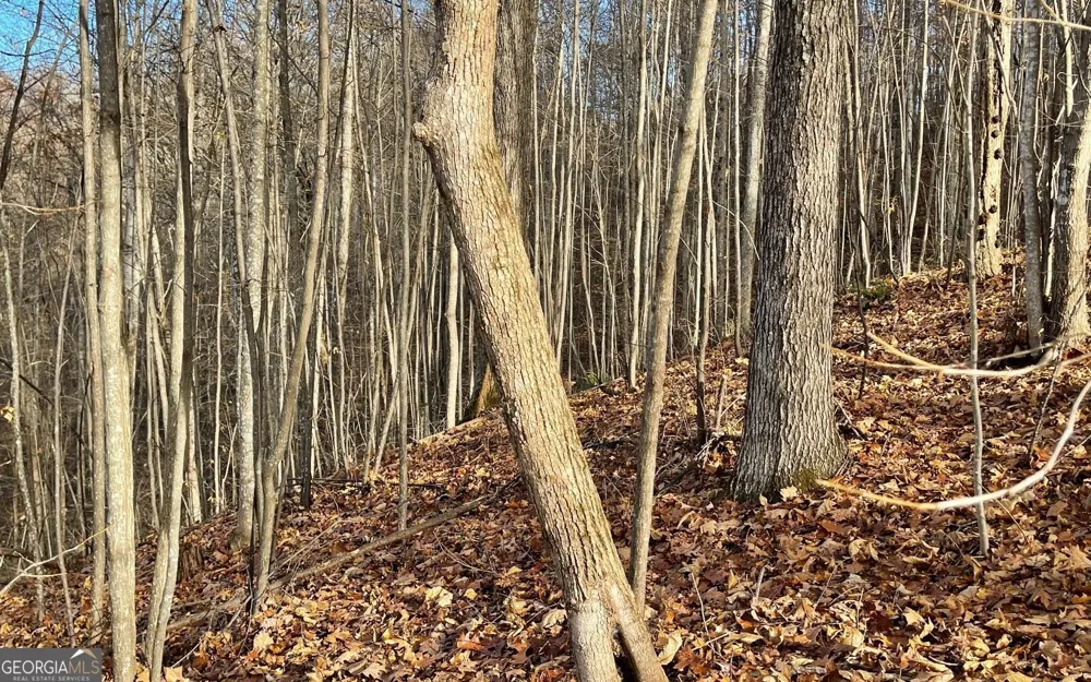 LOT 19 Bear TRL Hiawassee, GA 30546