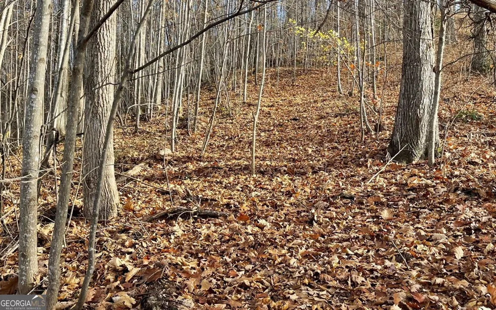 LOT 19 Bear TRL Hiawassee, GA 30546