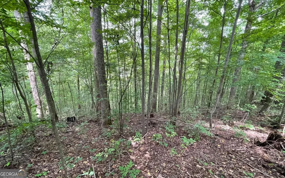 LOT 19 Bear TRL Hiawassee, GA 30546