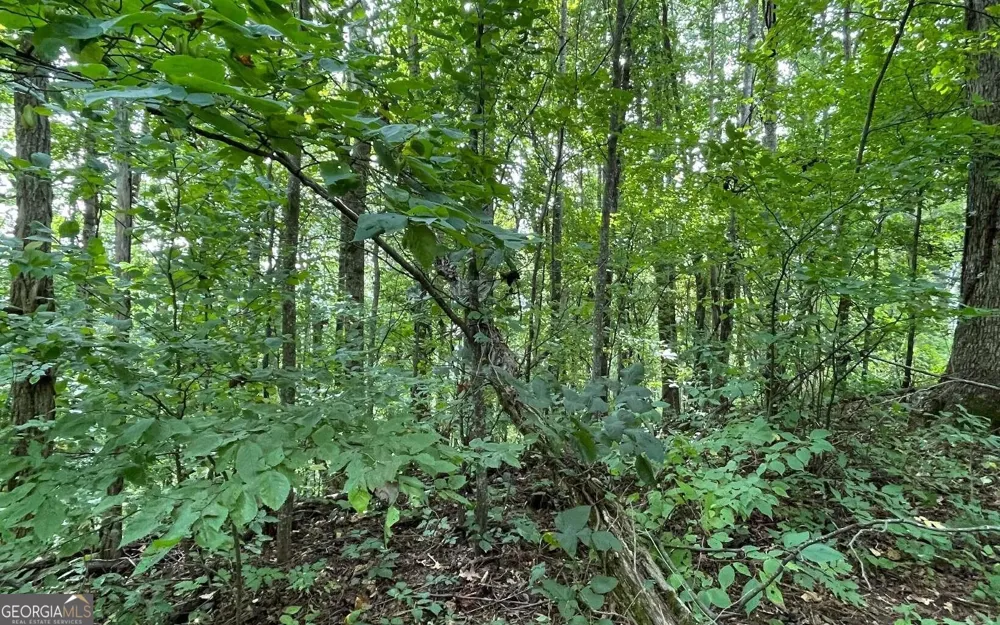 LOT 19 Bear TRL Hiawassee, GA 30546