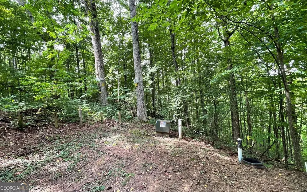 LOT 19 Bear TRL Hiawassee, GA 30546