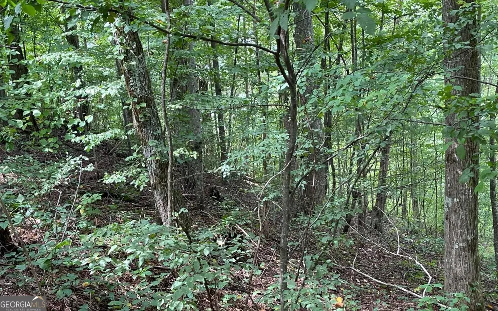 LOT 19 Bear TRL Hiawassee, GA 30546