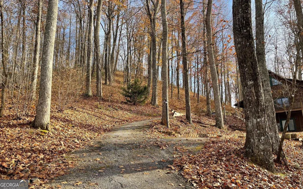 LOT 19 Bear TRL Hiawassee, GA 30546
