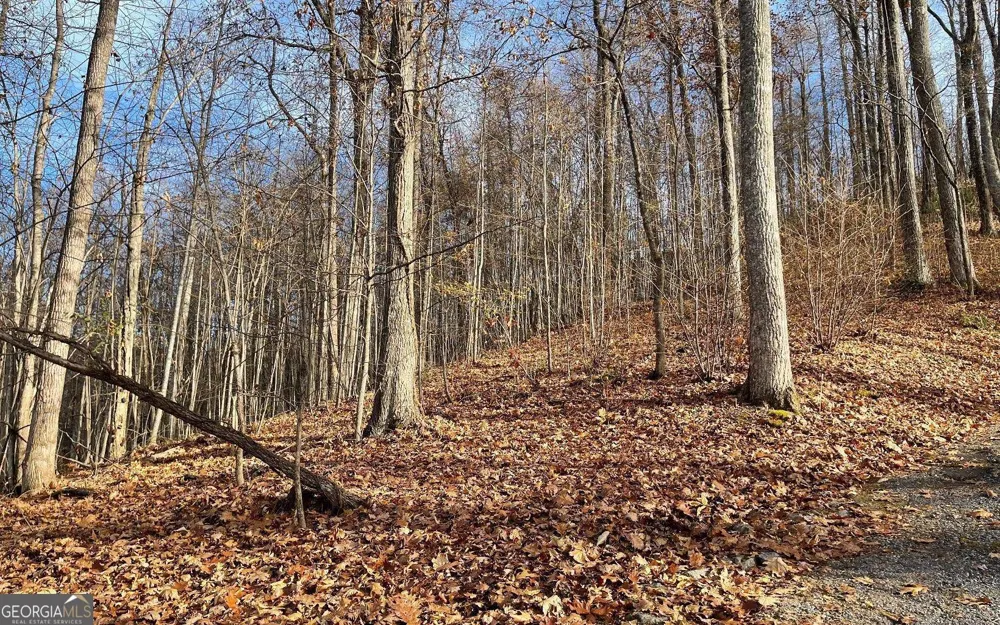 LOT 19 Bear TRL Hiawassee, GA 30546