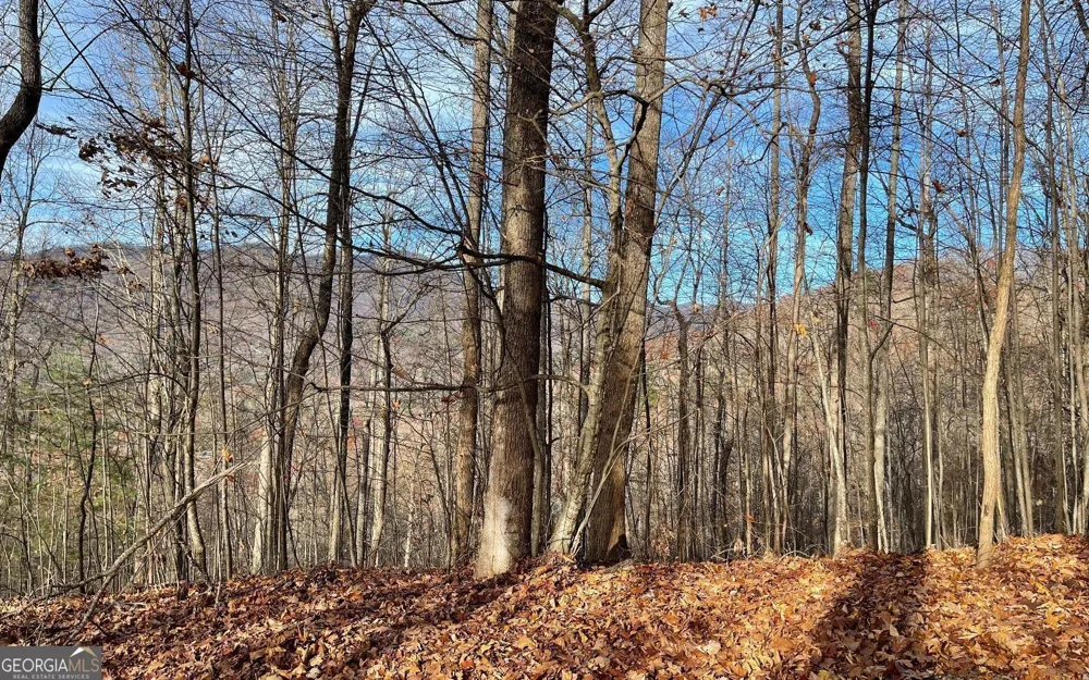 LOT 19 Bear TRL Hiawassee, GA 30546