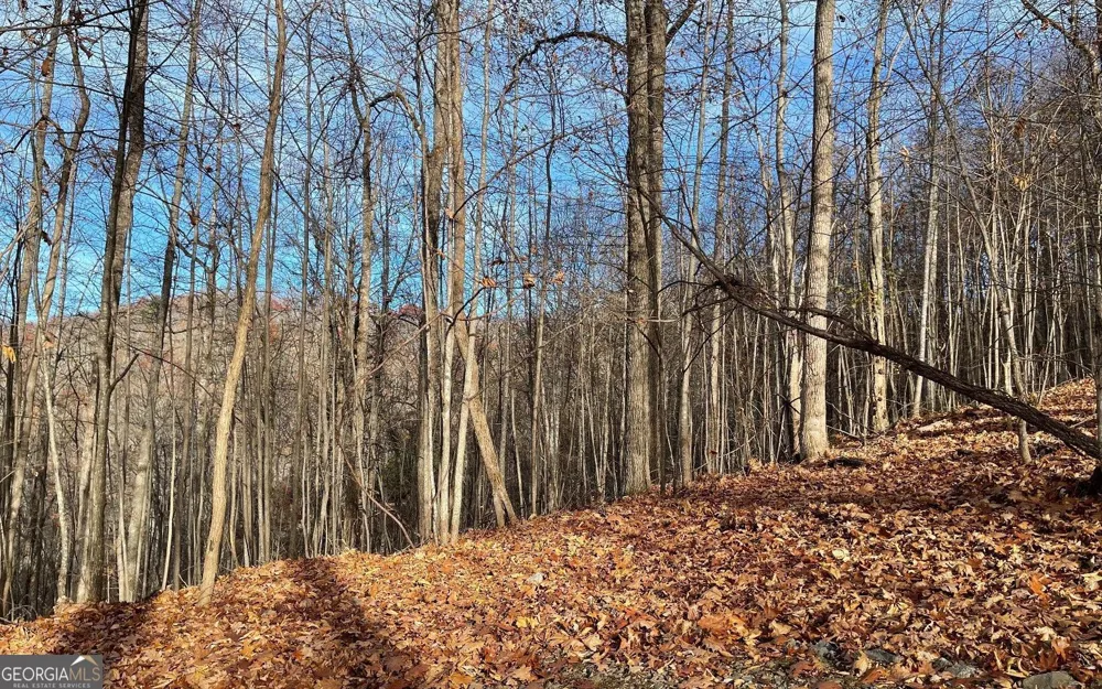 LOT 19 Bear TRL Hiawassee, GA 30546