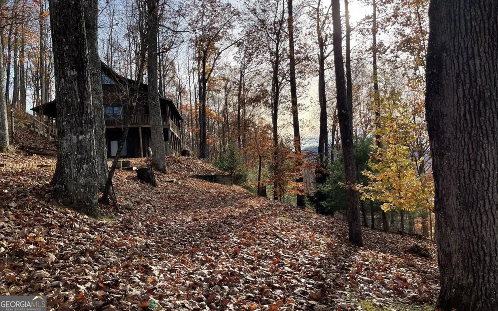 LOT 19 Bear TRL Hiawassee, GA 30546