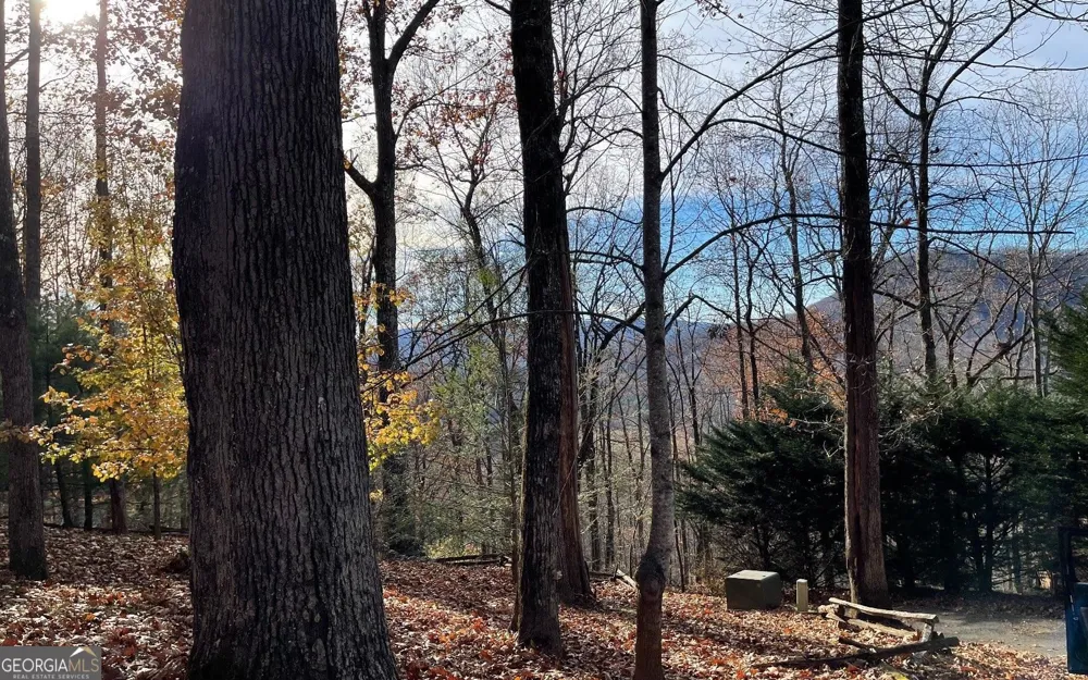 LOT 19 Bear TRL Hiawassee, GA 30546