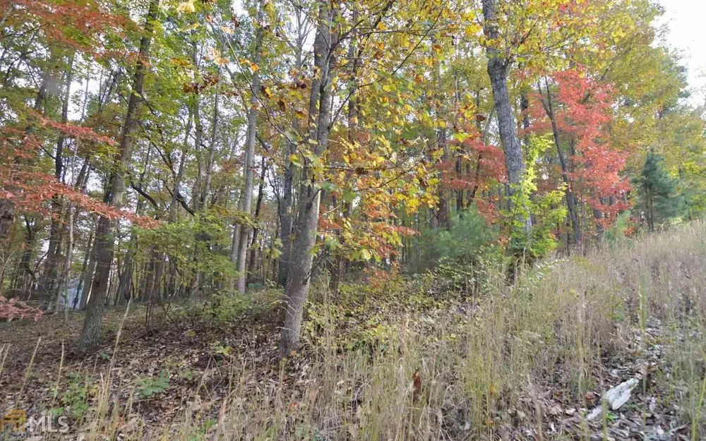LOT 1 Serenity RDG Blairsville, GA 30512