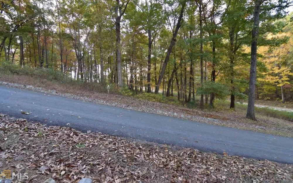 LOT 1 Serenity RDG Blairsville, GA 30512