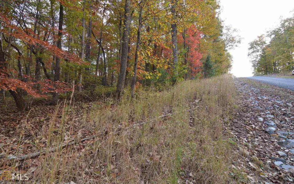 LOT 1 Serenity RDG Blairsville, GA 30512