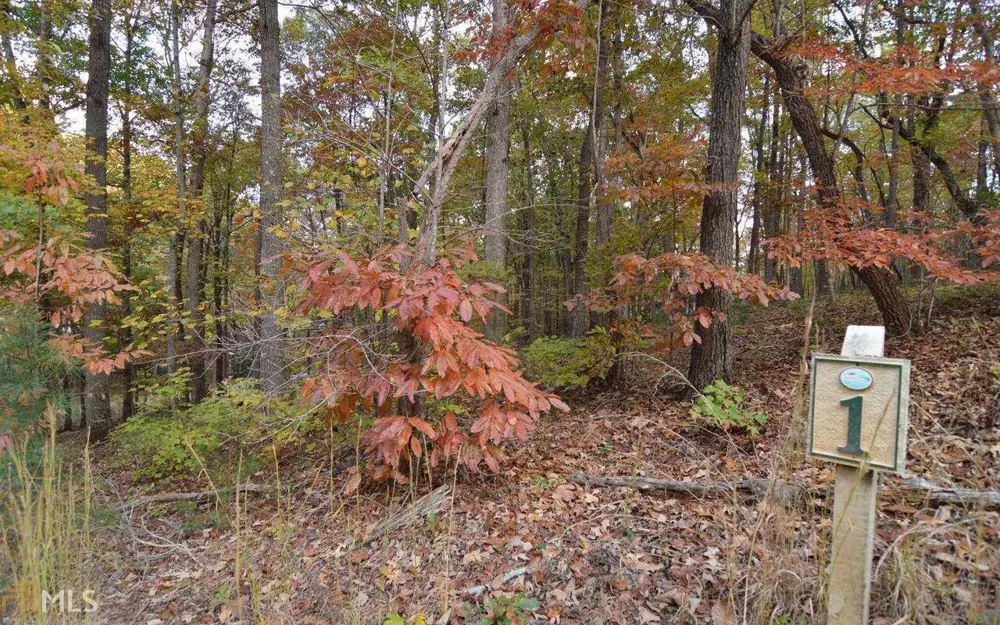 LOT 1 Serenity RDG Blairsville, GA 30512