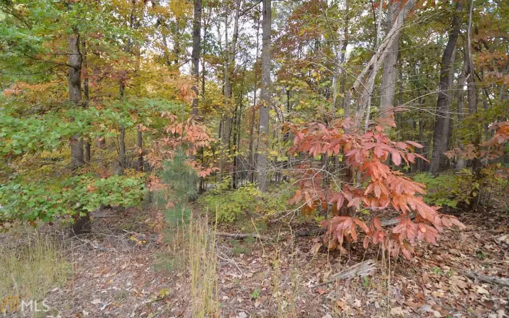 LOT 1 Serenity RDG Blairsville, GA 30512