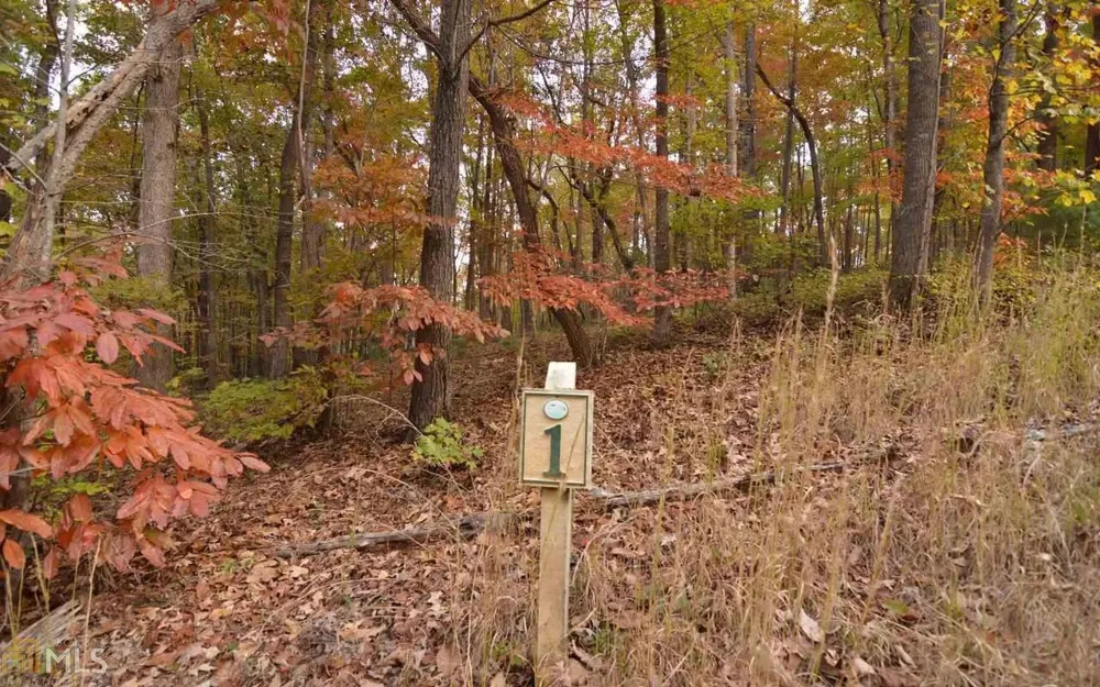 LOT 1 Serenity RDG Blairsville, GA 30512
