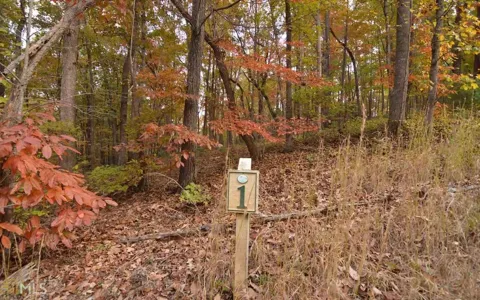 LOT 1 Serenity RDG