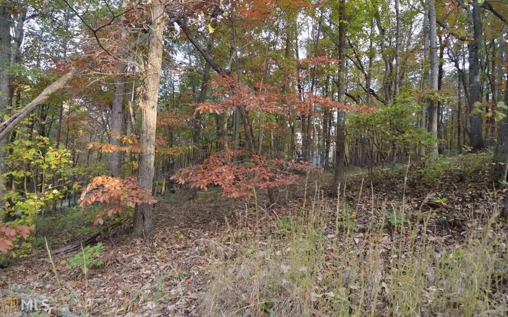 LOT 1 Serenity RDG Blairsville, GA 30512