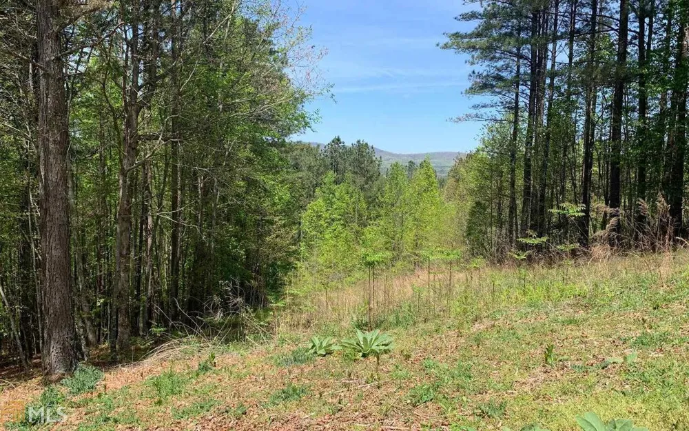 LOT 28 Loftis MTN Blairsville, GA 30512