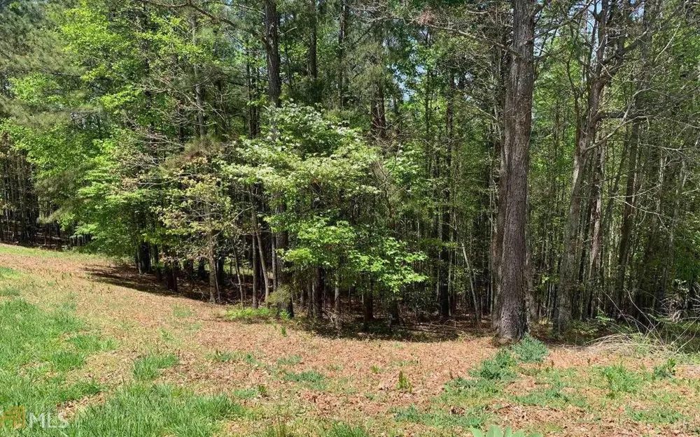LOT 28 Loftis MTN Blairsville, GA 30512